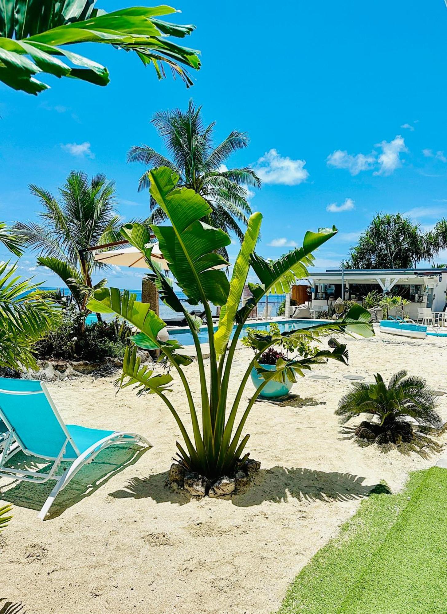 Pension Irivai Appartement Puatou 1 Chambre Bord De Mer Uturoa Luaran gambar